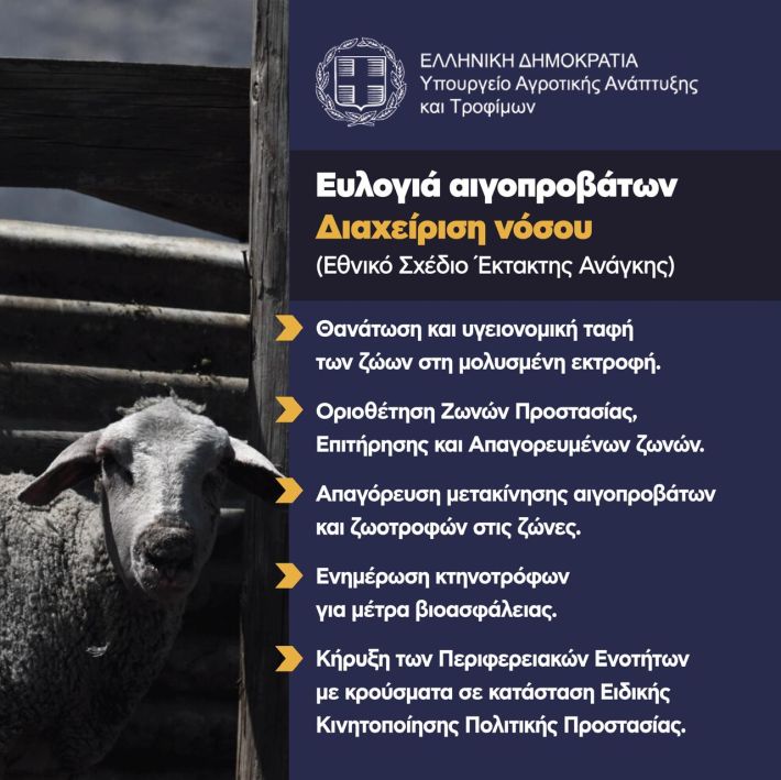 ΚΑΡΤΑ 4